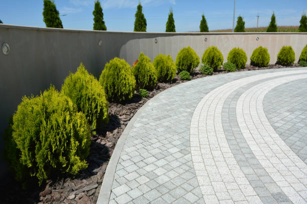 Reasons to Select Us for Your Driveway Paving Requirements in Prescott, AR